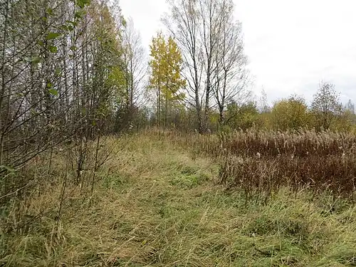 Урочище Конколово. 2014 год