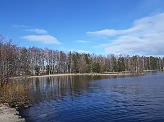 Берег озера в районе санатория-профилактория ЛАЭС.