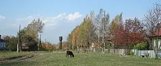 Центральная улица Кошкино