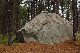 Ледниковый валун Коткакиви