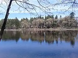 Дачный комплекс на берегу озера