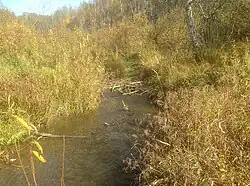 Крохалёвка в 3 км от устья