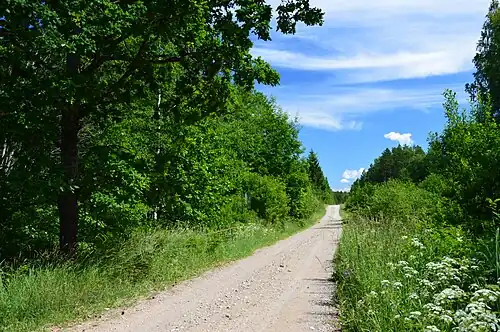 Щебёночная дорога в деревне Илвезе