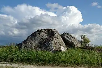 Культовый камень Кыннакыртси-киви