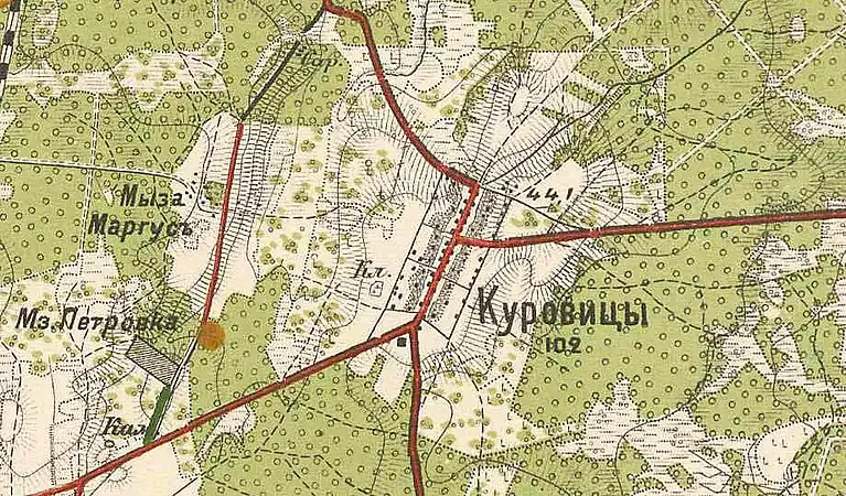 План деревни Куровицы. 1913 год