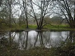 Река Сходня в районе д. Путилково