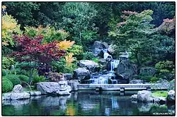 Японский сад "Киото"