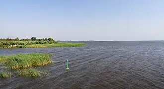 Вид на озеро летом 2010 года