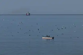 Пролив Белл-Айл в сентябре 2014 года