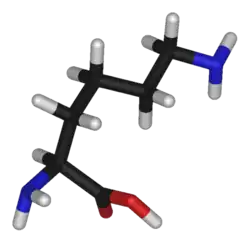 Изображение молекулярной модели