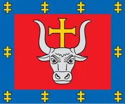 Флаг Каунасского уезда