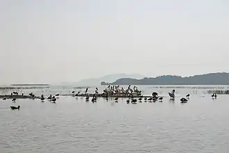 Вид на озеро Звай в октябре 2007 года