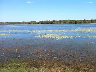 Национальный парк Лейкфилд, июль 2011 года