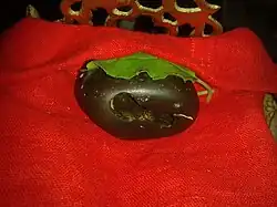 Вид шалаграма, называемый «Лакшми-Нарасимха»