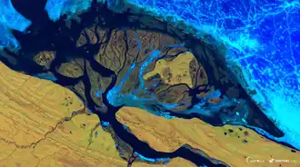 Дельта Оленька