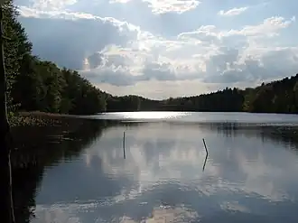 Фотография 2008 года