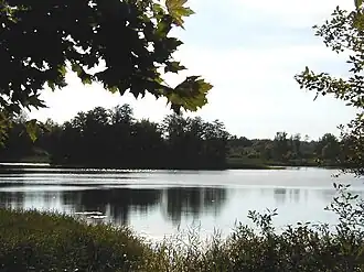 Вид на озеро Лаудеру летом 2002 года