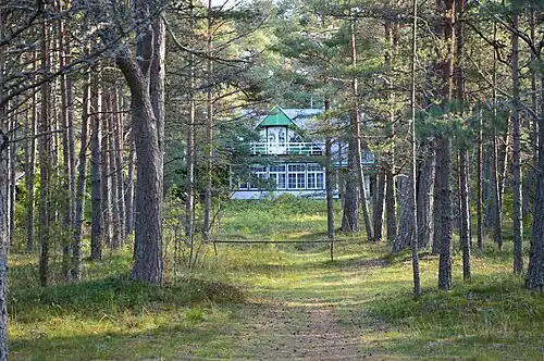 Дача в сосновом лесу