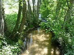 Река Лоранс