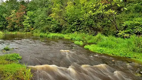 Потоки реки в каньоне