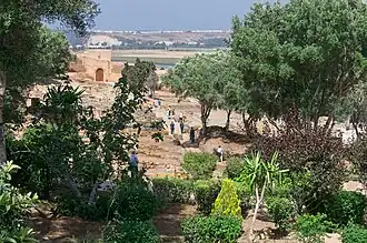 Point de vue dans l'enceinte du Chellah le 2 juin 2024