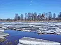 ледоход на мологе