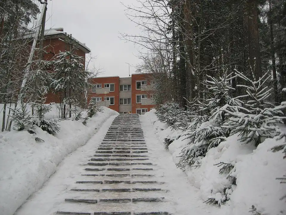 Пансионат «Ольшаники»