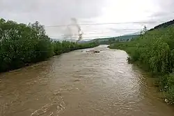 Вишеу в Леордине