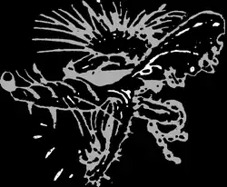 Изображение логотипа