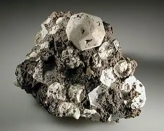 Включения лейцита в вулканической породе из Италии