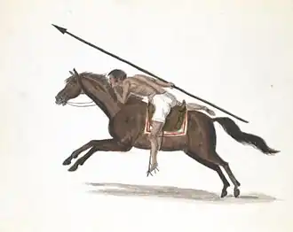 Льянеро в атаке.