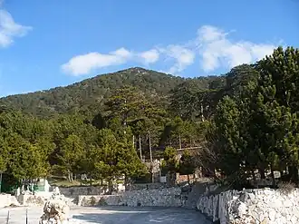 Лес на перевале Логара