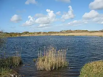 Вид на озеро весной 2008 года