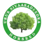 Изображение логотипа