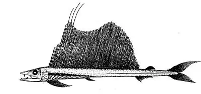 Алепизавры охотятся из засады. Это постоянные обитатели мезопелагической зоны. Один из самых крупных мезопелагических видов рыб, достигающий в длину 2 м