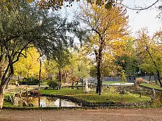 Вид из парка