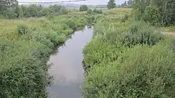 Лутосня возле моста у деревни Мишнево