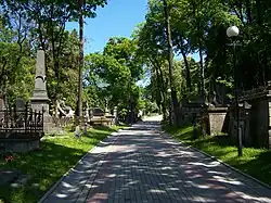 Одна из аллей