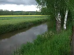 Мюленвора&nbsp;— рукав Воры