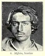 Афганец — ираноидный тип