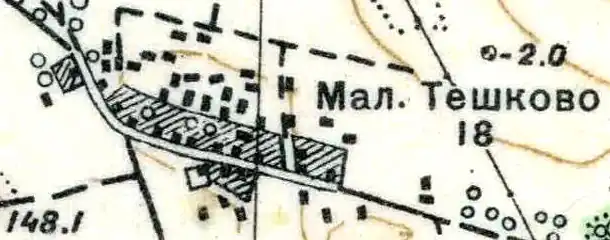 План деревни Малое Тешково. 1930 год