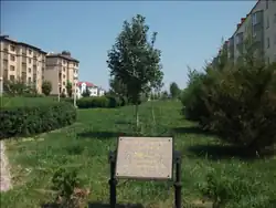 Аллея Республики (заложена по случаю 80-летия ингушской государственности). 2010&nbsp;год