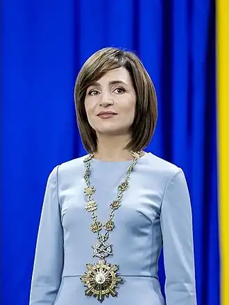 Официальный портрет, 2020