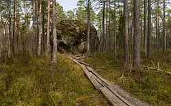 Валун Маякиви