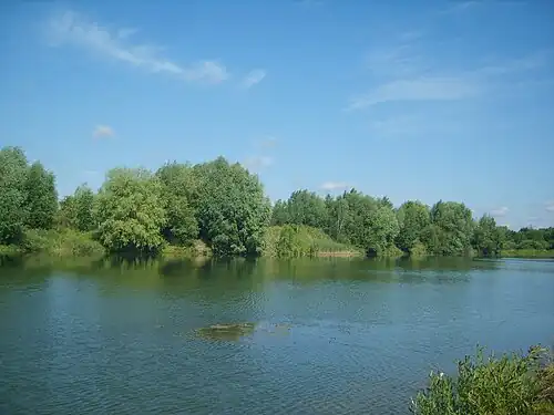 Местный пруд