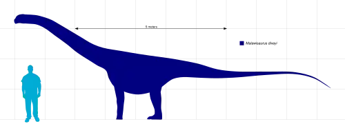В сравнении с человеком