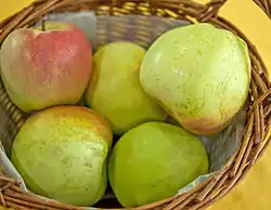 Фото яблок/яблони