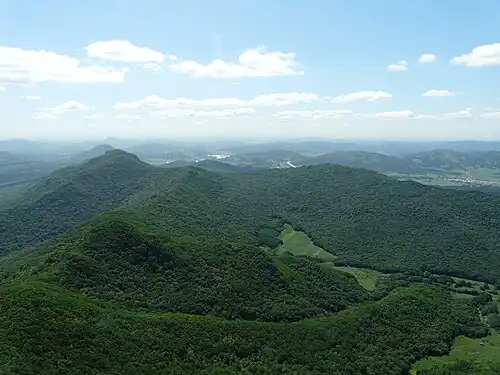 Типовой широколиственный лес Маньчжурии (дуб, липа, клён)