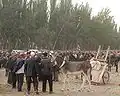 кашгарцы на скотном рынке