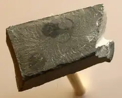 Экспонат Музея Редпат, Монреаль